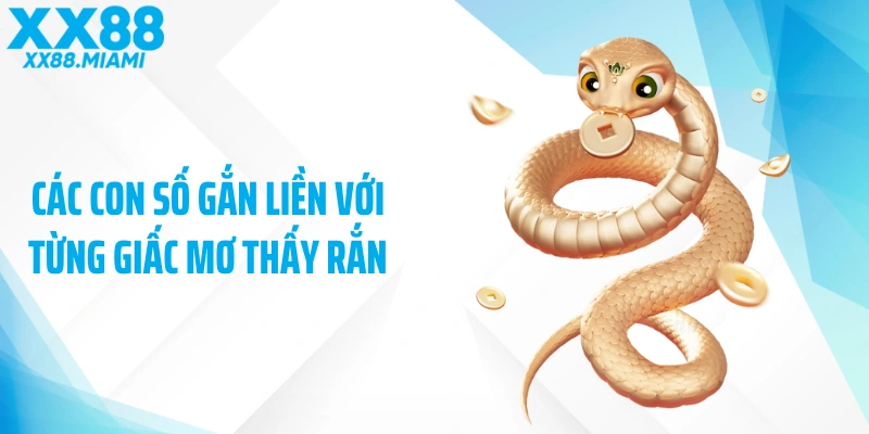 Các con số gắn liền với từng giấc mơ thấy rắn