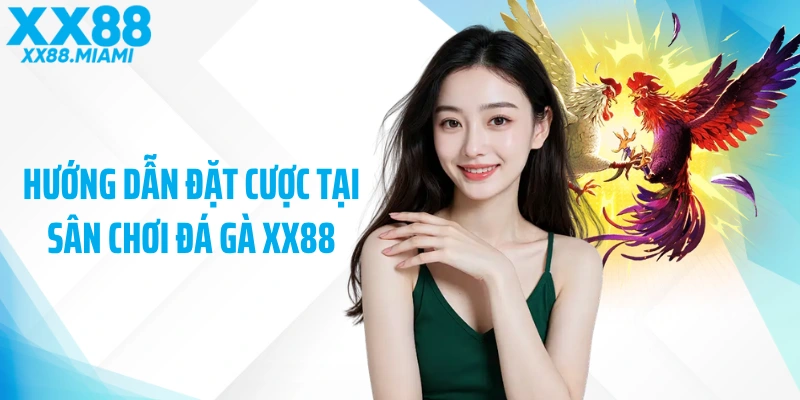 Hướng dẫn đặt cược tại sân chơi đá gà XX88