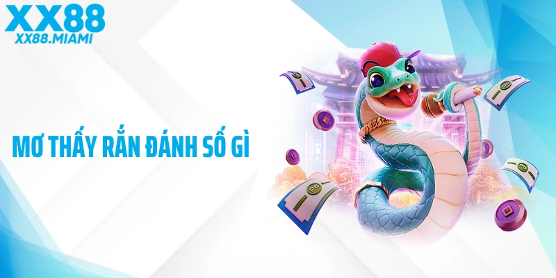 Mơ Thấy Rắn Đánh Số Gì? Hé Lộ Điềm Báo Cùng Con Số Bất Ngờ